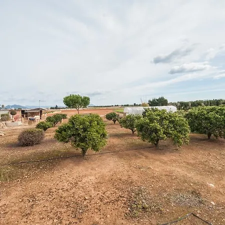 Villa Florit Muro